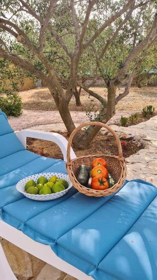 Villa Bubica- Cozy Holiday Home In Rural Area With Pool Stankovci  Eksteriør bilde